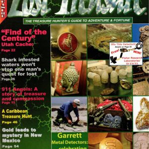 Lost Treasure- September 2004